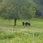 Chaumiere 8p, 4ch, 2 Sde, Grand Jardin, Proche Honfleur * Conteville (Eure)