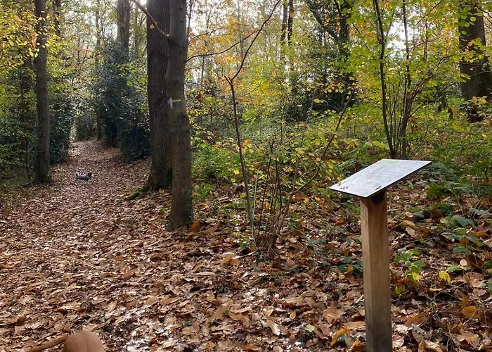 Chaumiere 6-8p, 4ch, Proche Honfleur * Conteville (Eure)