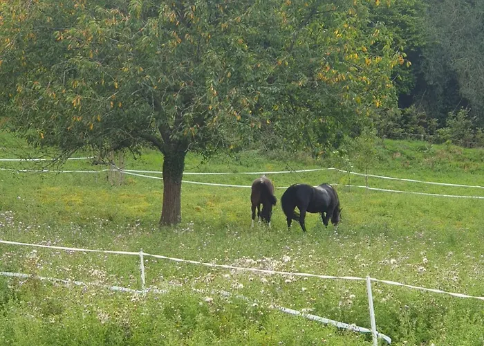 Chaumiere 6-8p, 4ch, Proche Honfleur * Conteville (Eure)